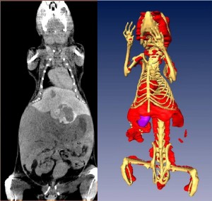 Fenestra LC User Guide with MicroCAT II Imaging Hardware